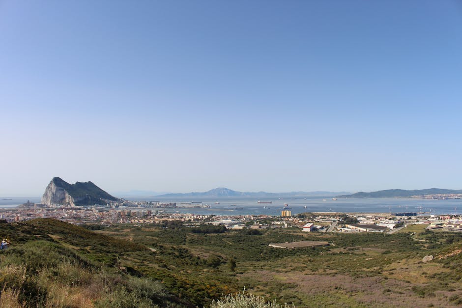 Rapaces sobrevolando el Estrecho de Gibraltar durante la migración otoñal